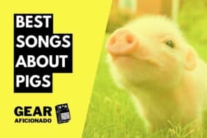 Best Songs About Pigs