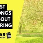 Best Songs About Spring