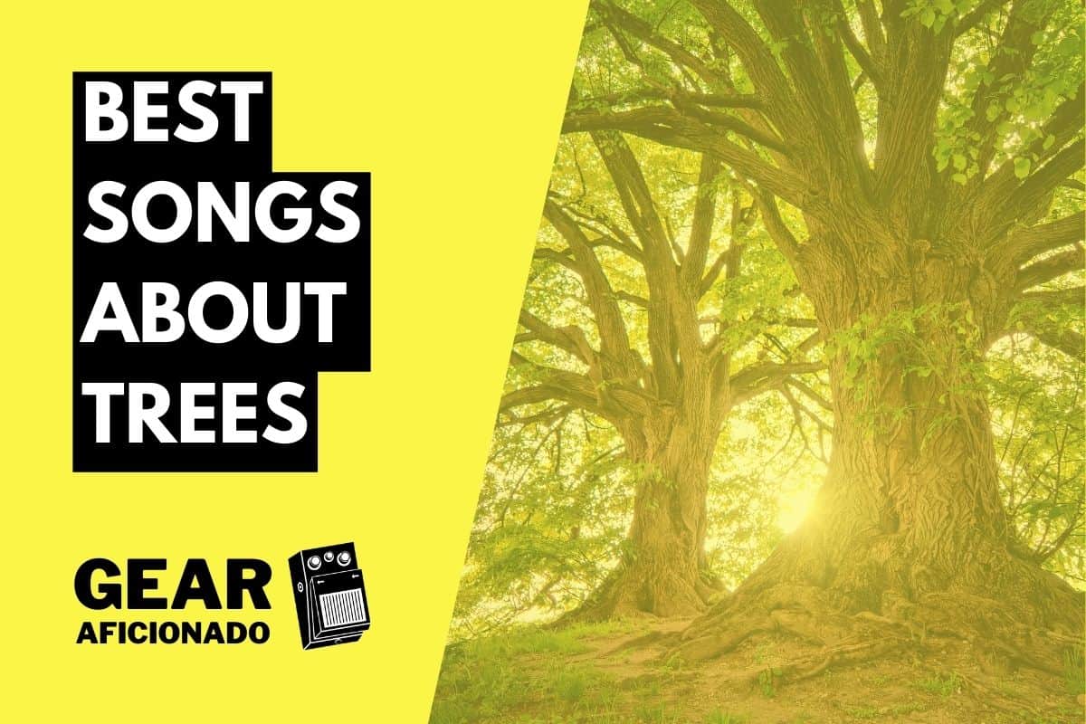 Best Songs About Trees
