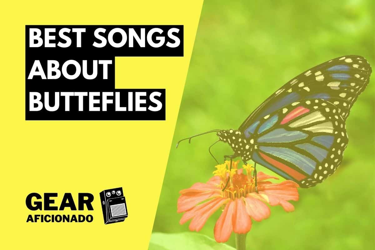Best Songs About Butterflies